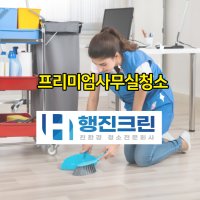 강남 사무실청소 사업장 병원 학원 건물 빌라 상가 원룸 화장실 전문업체