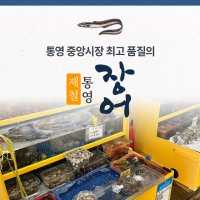 통영 자연산 바다장어 1kg