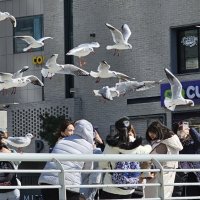 남해여행패키지' 최저가 검색, 최저가 8,000원 : 쿠차 | 시간을 줄여주는 쇼핑검색