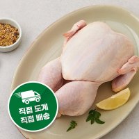 퍼스트픽 국내산 초신선 육계 생닭