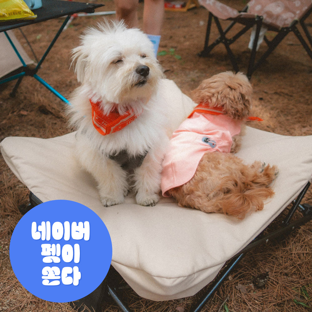 하웃 강아지 침대 방석 쿠션 해먹 캠핑 의자 애견 도그코트