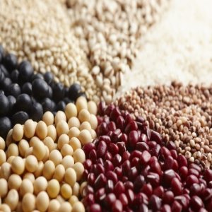 포항 콩 팥 약콩 메주콩 1kg 메디푸드 치유농산물