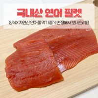 자연산 국내산 연어 회필렛 급냉 손질 발송 500g~