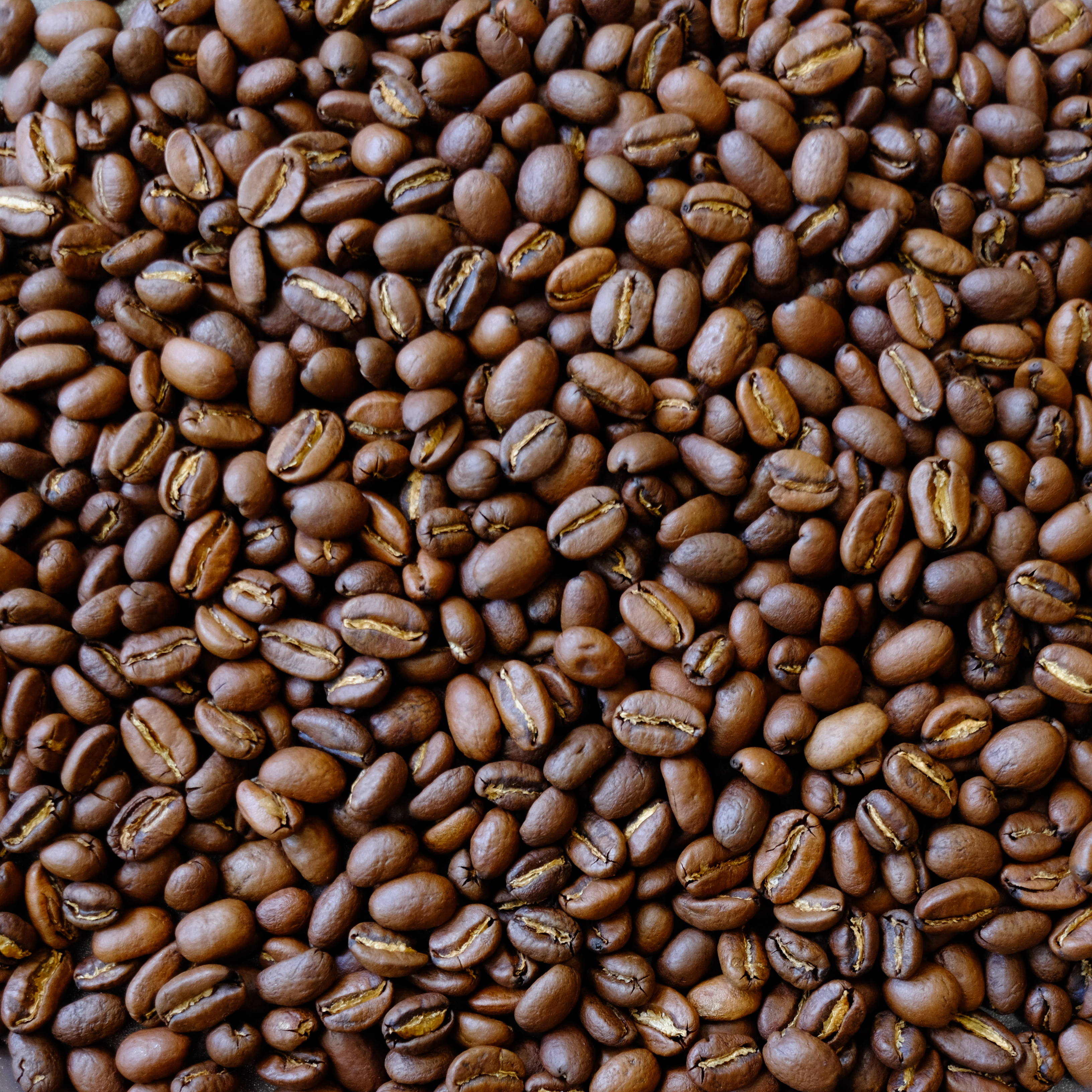 Ethiopia Yirgacheffe Coffee (에티오피아 예가체프 커피)