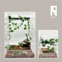 도마뱀 사육장' 최저가 검색, 최저가 22,100원 : 쿠차 | 시간을 줄여주는 쇼핑검색 도마뱀 사육장' 최저가 검색, 최저가 22,100원 : 쿠차 | 시간을 줄여주는 쇼핑검색
