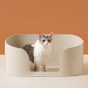 두잇 올데이바스켓 고양이 펠트 숨숨집