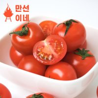 스테비아 토마토 1Kg 자달 짭잘이 방울토마토 캔디 건달 달짝이 단마토 마토 망고맛토