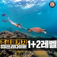 1+2레벨 초급해양패키지 SSI프리다이버 프리다이빙 서울/경기/가평 자격증 강습