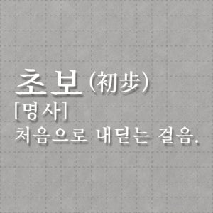 초보운전 스티커 4번 초보 명사 흰색 20cm x 8.2cm