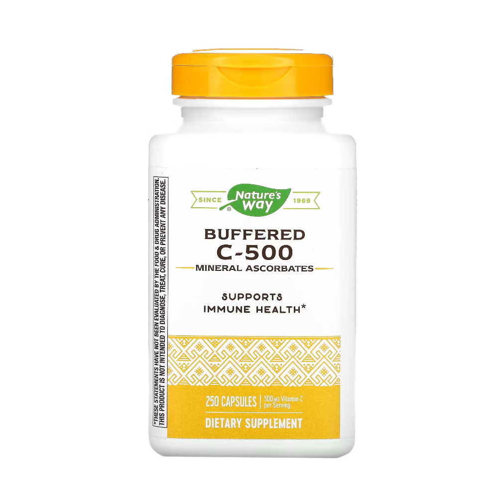 네이쳐스웨이 C500 60츄어블정