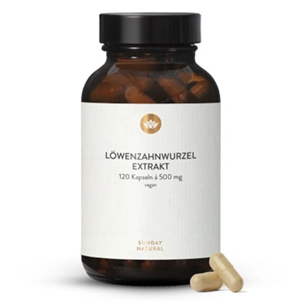 독일 <b>민들레추출물</b> 500mg 120캡슐 <b>민들레</b> 뿌리 <b>추출물</b>
