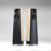 YG ACOUSTICS TALUS