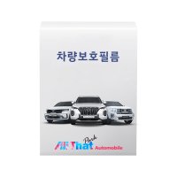 싼타페 차량보호필름 PPF 시공예약