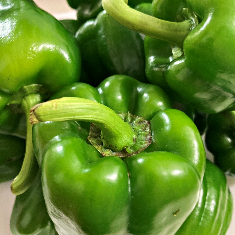 청피망 1kg 파지 못난이 상 특