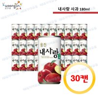 웅진 내사랑 사과 180ml 30캔