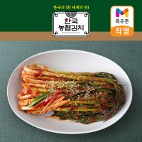 한국농협김치 파김치 1kg 국산