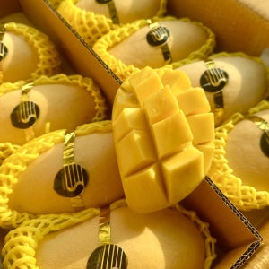 항공직송 태국 골드망고 애플망고 무지개망고 남독마이 선물세트