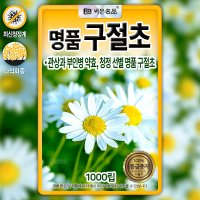 구절초 씨앗 꽃씨 씨 종자 1000립 AR