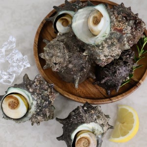 해녀가 직접 잡아 올린 자연산 통영 뿔소라1kg