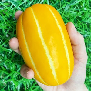 고당도 성주 꿀 참외 가정용 혼합크기, 2kg, 1개