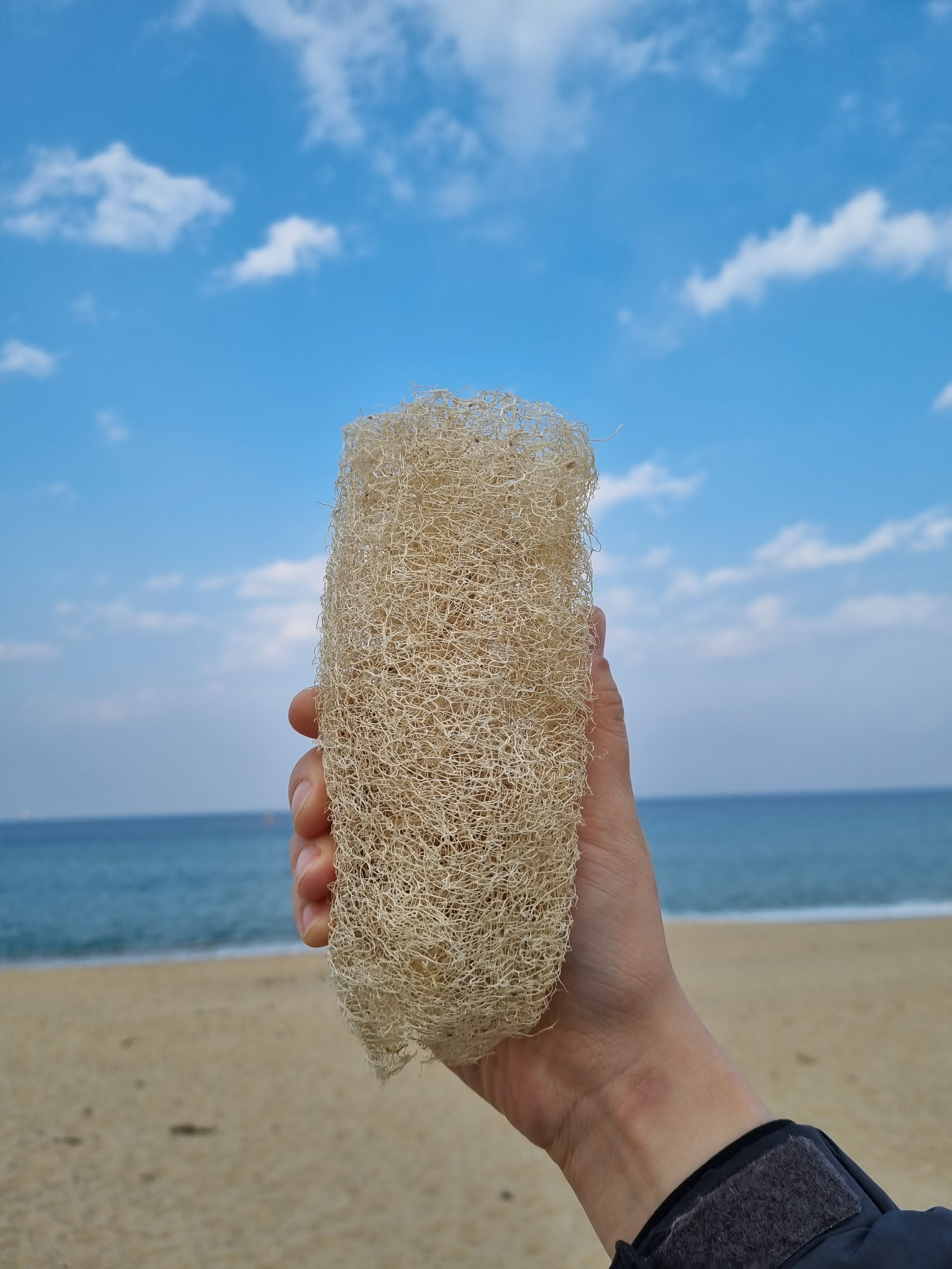 노닐드 국내산 천연수세미 주방 제로웨이스트 못난이 국산