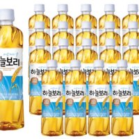 웅진 하늘보리 500ml x20개입