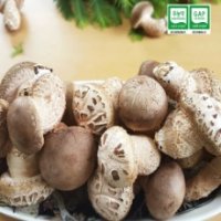 용인 송화버섯 1kg 송이향 쫄깃한 고기 식감 메디푸드 세자매농원