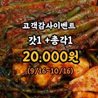 여수 돌산 갓김치 전라도 국내산 김치 3kg