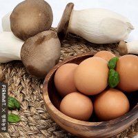 무항생제 30개 버섯먹은계란 당뇨식단 건강식단