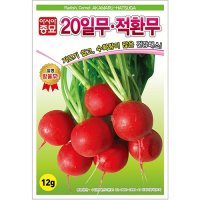 20일무 적환무 씨앗 12g/방울무 래디시 연중재배