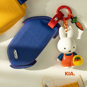 기아 자동차 쏘렌토 카니발 차 키케이스 키커버 홀더 컬러조합가능