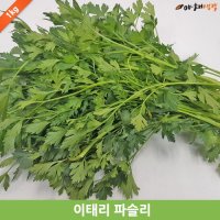 향나물 1kg 이태리 파슬리 파세리