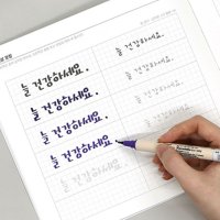 캘리그라피 손글씨체 교정 노트 연습장 3매