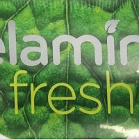 Velamints fresh 벨라민츠 후레쉬 스피어민트 20g x 9