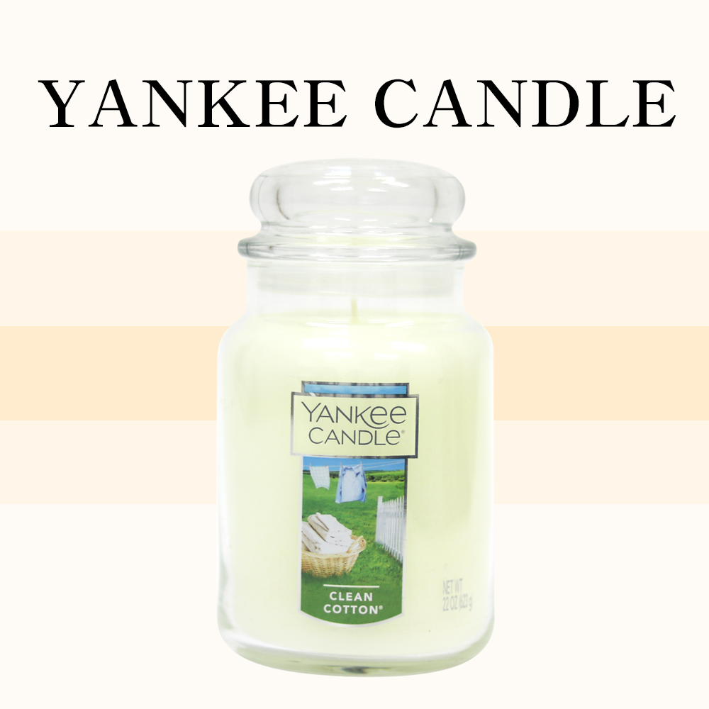 양키캔들 클린 코튼