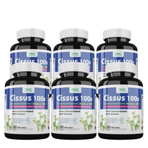 PNC 시서스 추출물 고농축 1200mg 120캡슐 6병