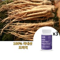 도라지환 맥문동환 마가목환 프리미엄 100g x 3개