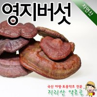 국내 자연산 영지버섯(미니) 300g 말린 건조 차 국내산 야생