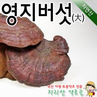 국내 자연산 영지버섯(大대)7송이 300g 말린 건조 차 국내산 야생