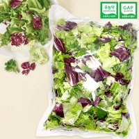 대용량 샐러드 야채 1kg / 스마트팜 유러피안 채소 / 정기구독가능
