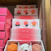 LUSH 일본한정 입욕제 3개세트