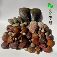 캠핑용 신선한 제철 조개구이 추천 세트 2kg