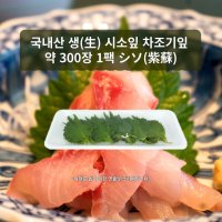 미트팬트리 국내산 생(生) 시소잎 차조기잎 약 300장 1팩 シソ(紫蘇)