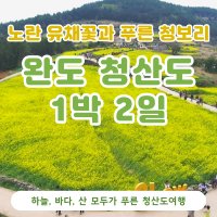 청산도여행 완도여행 광양 1박2일 남도맛기행 국내섬투어