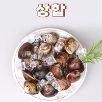 활상합 1kg 해감상합 활생합조개 생합조개구이