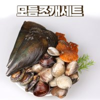 모듬조개세트 2kg 3kg 캠핑조개 조개구이찜