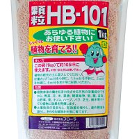 과립 HB-101 1kg │ 천연활력제 식물영양제 비료 에이치비 HB101