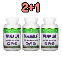 2+1 3개 세트 , 파라다이스허브 바나바 리프 180캡슐 바나바 잎 추출물 Banaba Paradise Herbs