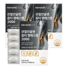 네츄럴라이즈 식이유황 MSM 가루 분말 3박스 엠에스엠 먹는 유황