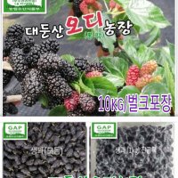 대둔산 냉동오디 (10kg/모듬) Gap인증 최상품오디 2차선별 웰빙식품 오디생과 대둔산오디 유기농 친환경 농산물 대둔산 오디농장.